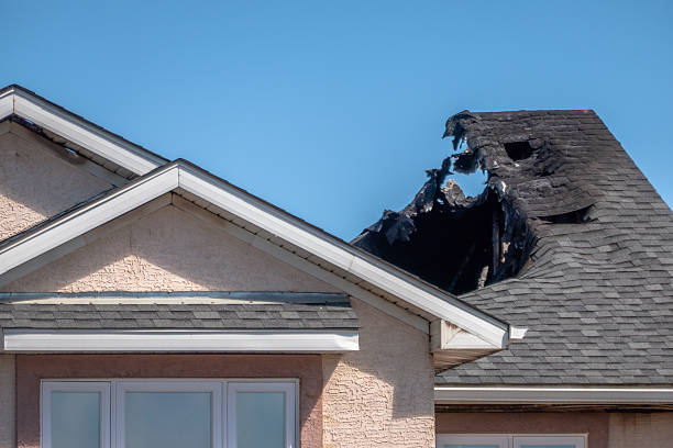 Top rated local Fire Damage Removal specialists in Hilltown, PA